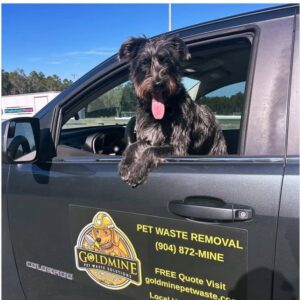 Pet Waste Solutions