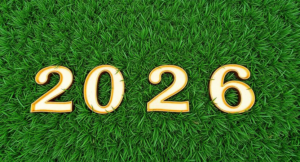 New Year 2026 - Jacksonville and St. Augustine